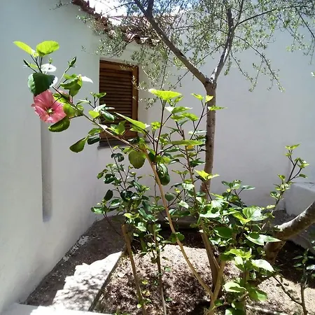 Candida Portobello Villa